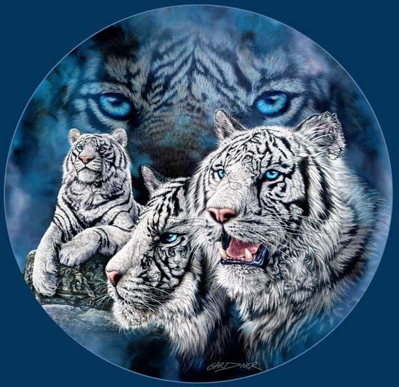 tiger-illusion