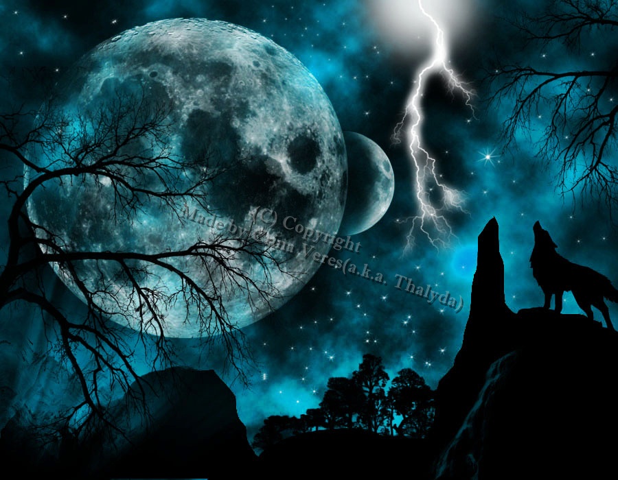 Lonely_wolf__s_night_by_Thalyda