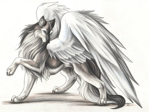 skylaar_by_kankakanka