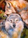 WOLF-LOVE