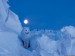 wolf-in-blue-night